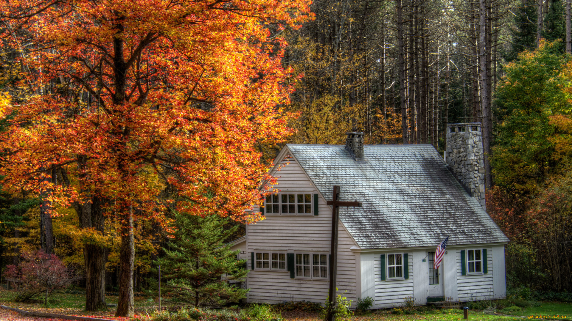 marshfield, usa, города, здания, дома, дом, лес