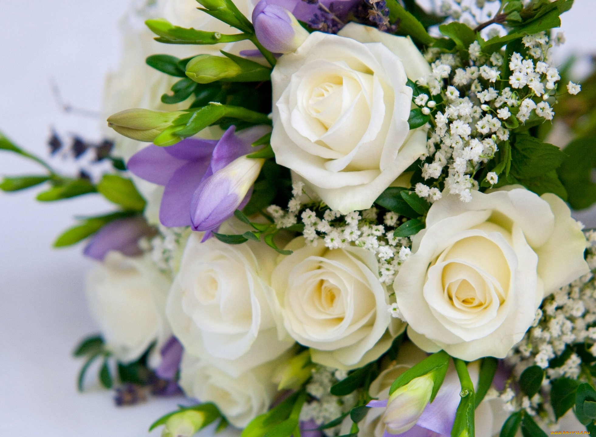 цветы, разные, вместе, розы, гипсофила, фрезия, букет