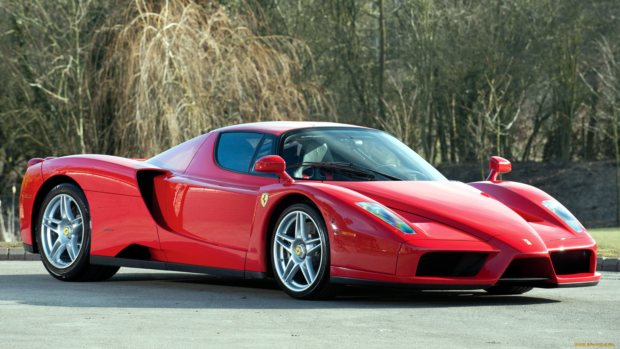 ferrari, enzo, автомобили, s, p, a, спортивные, италия, гоночные