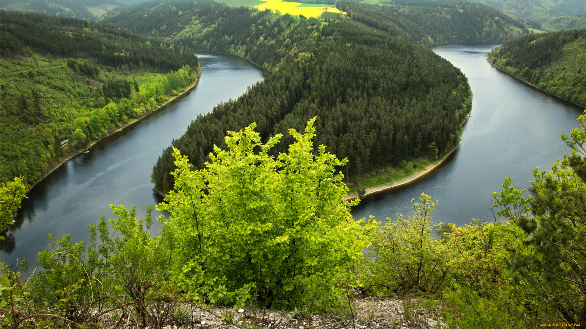 германия, тюринген, природа, реки, озера, германия, тюринген, река, лес, трава, кусты