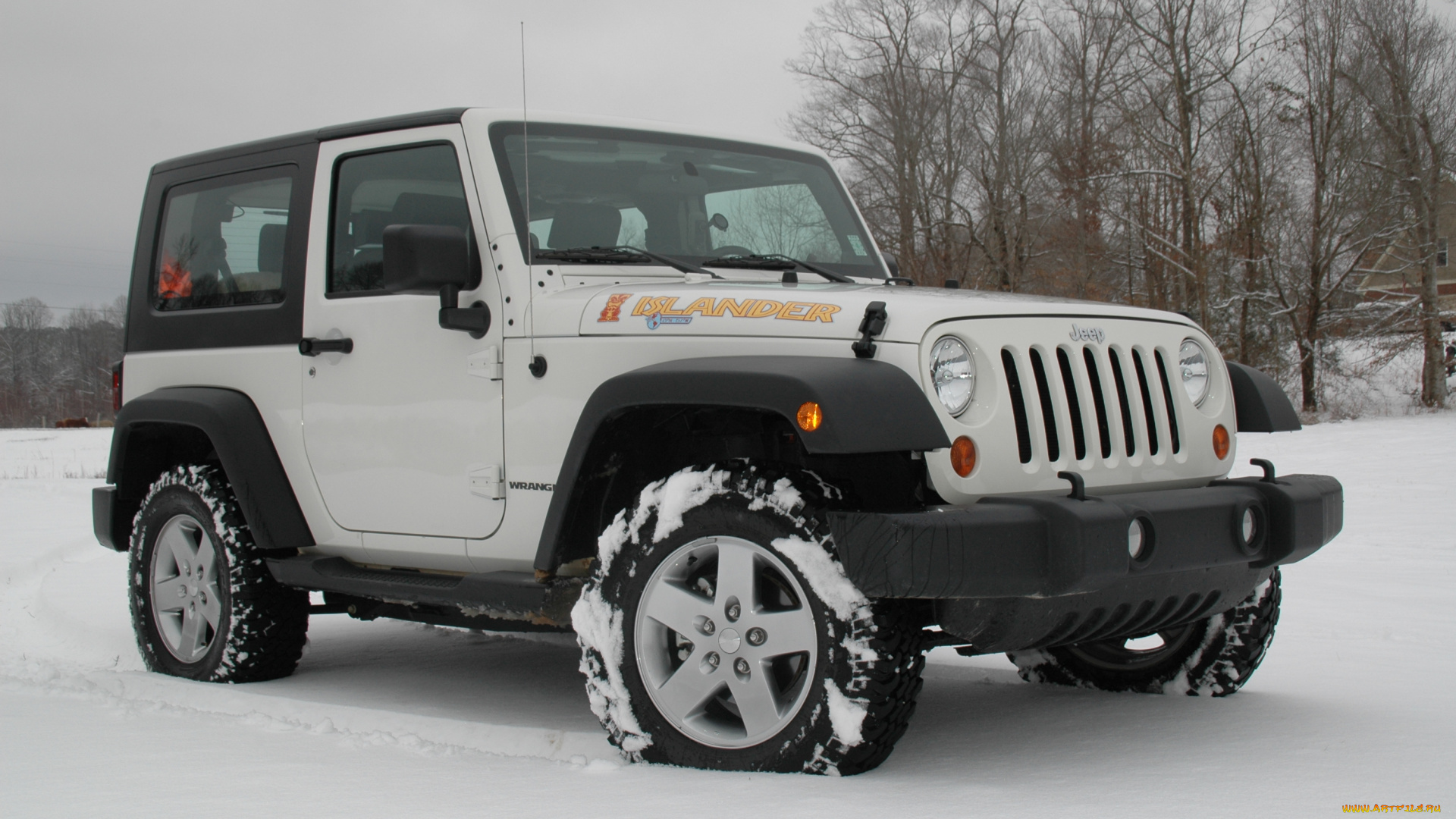 jeep, автомобили, выставки, и, уличные, фото, wrangler