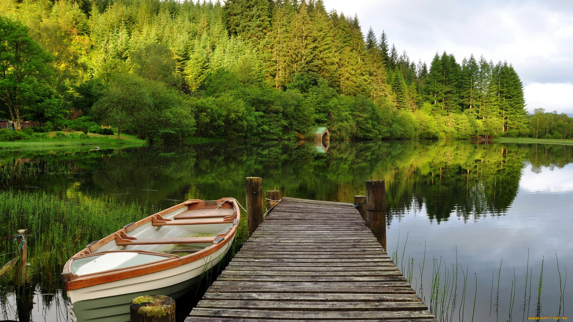 корабли, лодки, , шлюпки, лодка, причал, лес, река