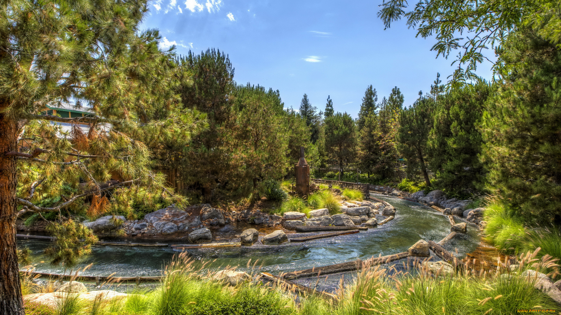 природа, парк, парки, hdr, дизайн, диснейленд, анахайм, калифорния, сша