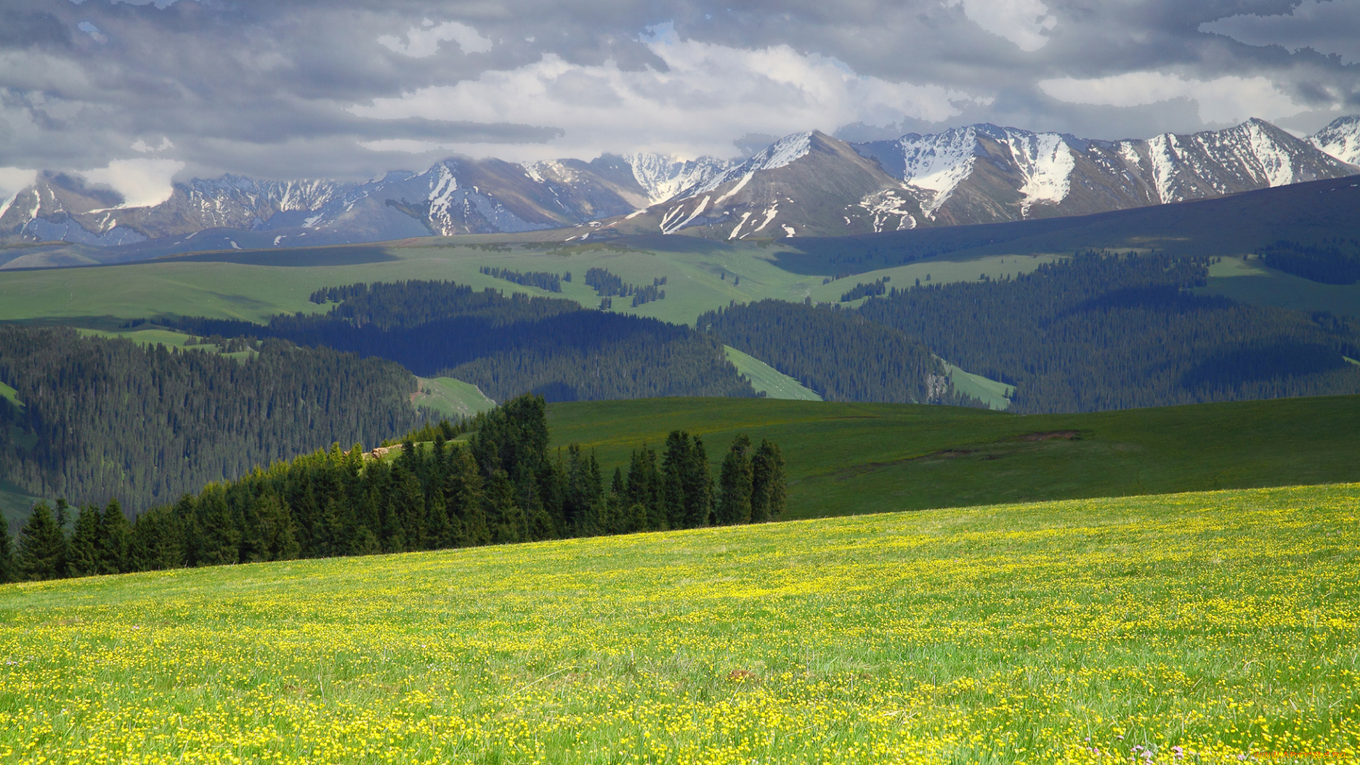природа, поля, поле, горы, лес