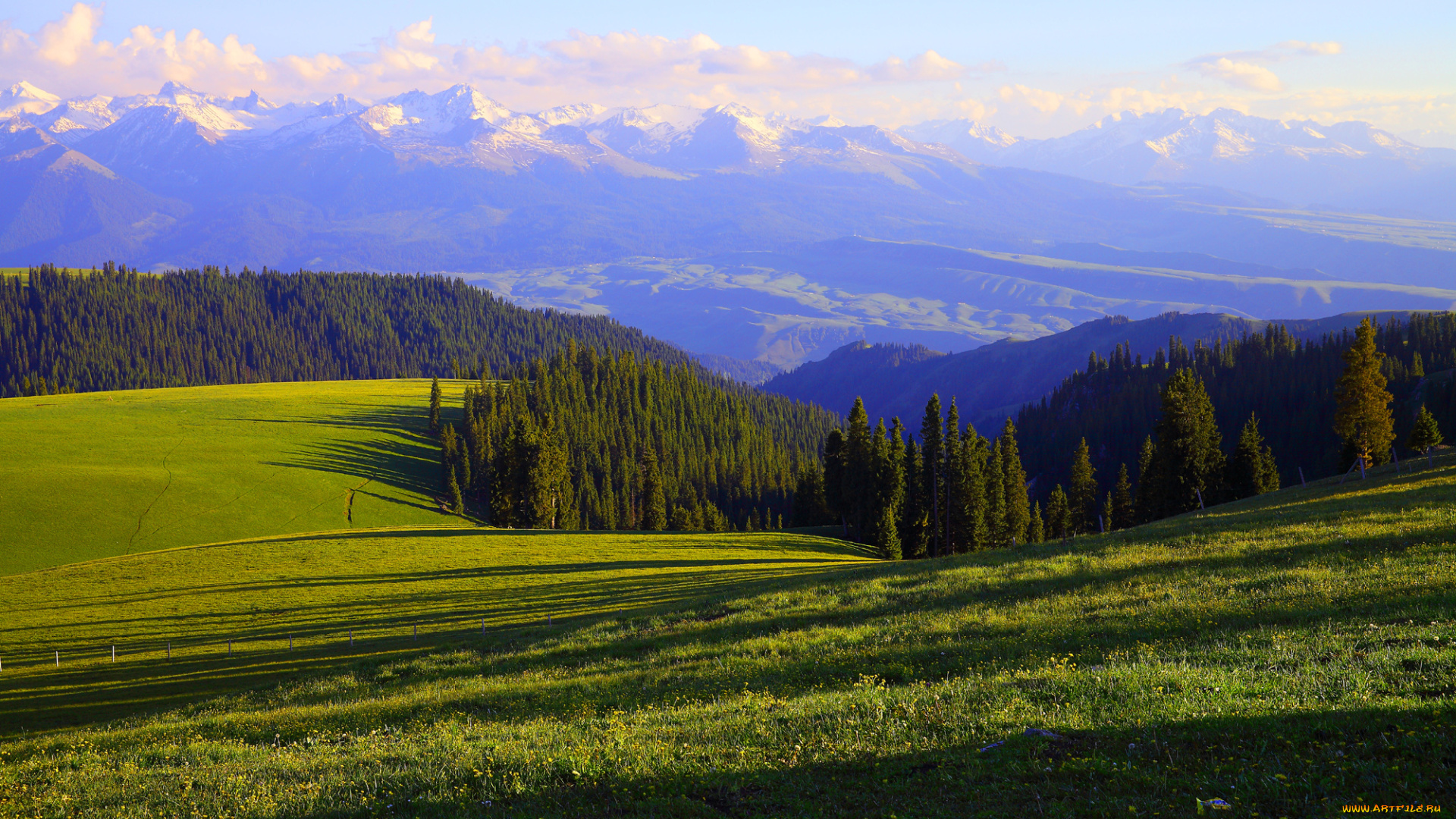 природа, поля, поле, горы, лес