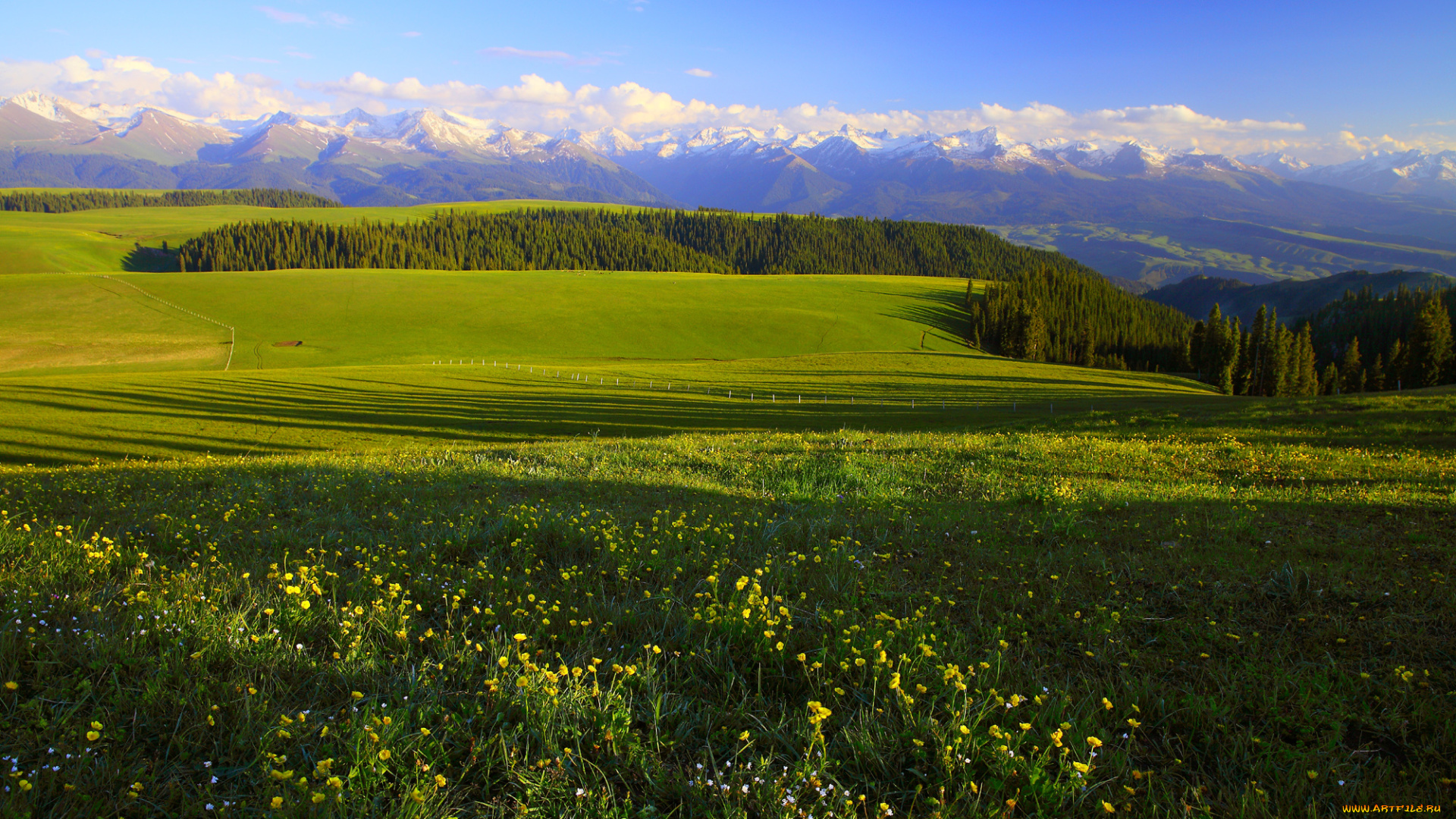 природа, поля, поле, горы, лес