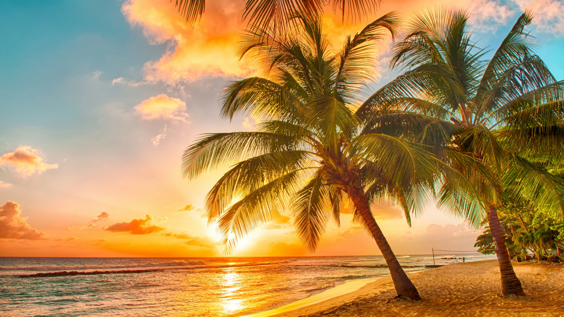 природа, тропики, океан, пальмы, закат, песок