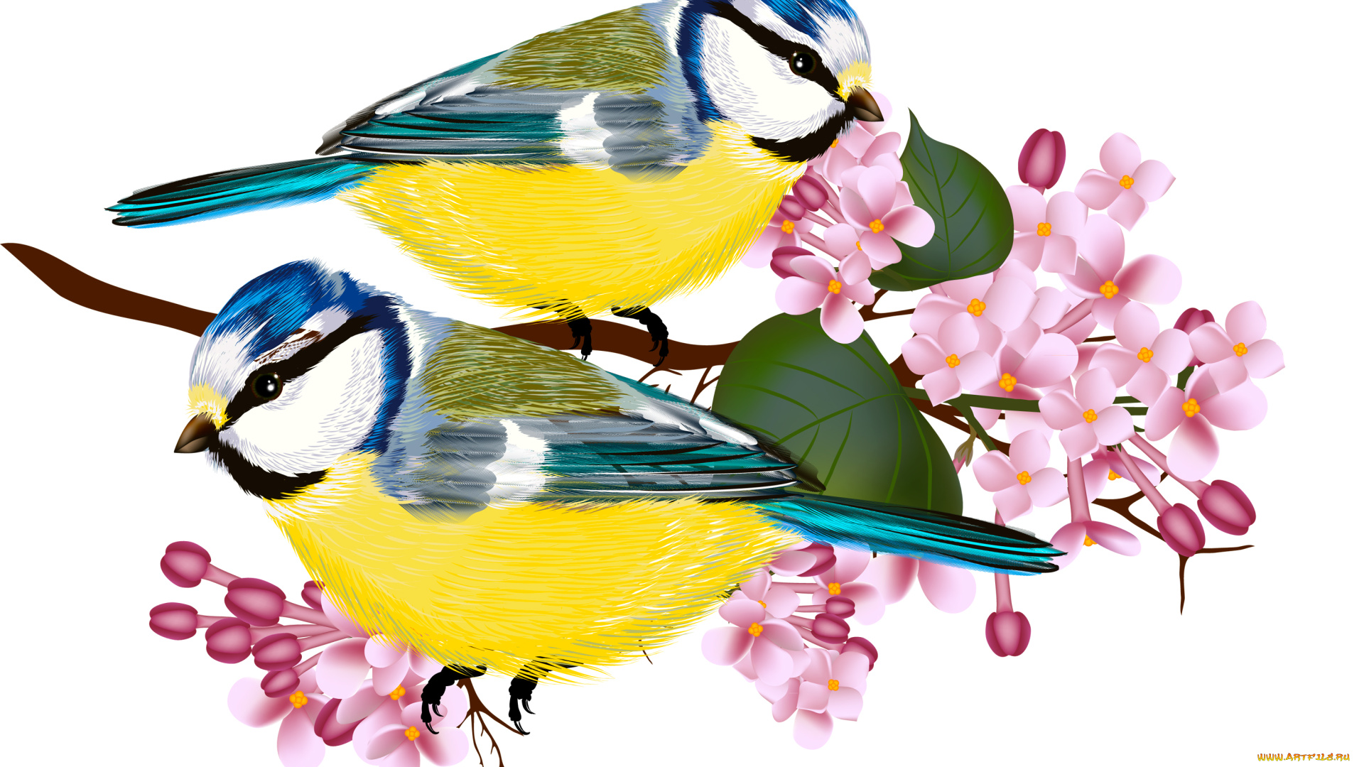 векторная, графика, листья, цветы, ветка, синицы