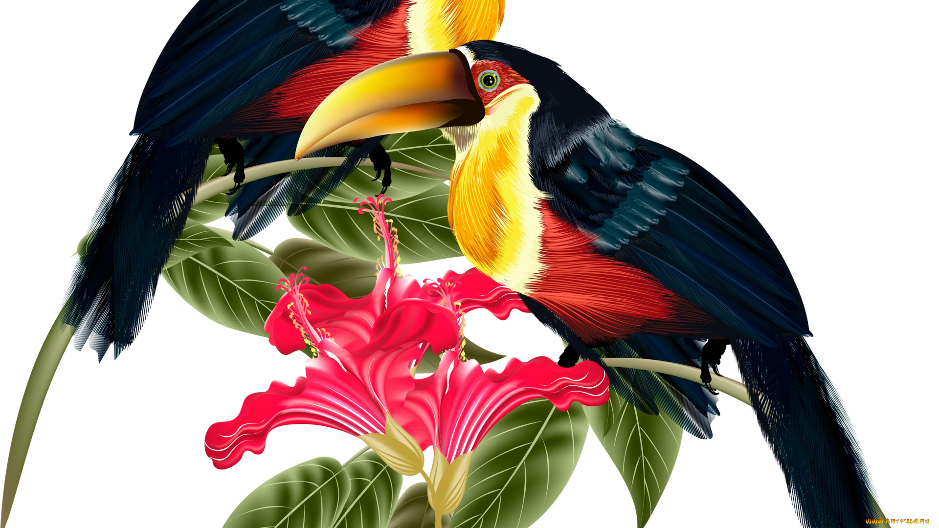 векторная, графика, ветка, цветы, листья, туканы, птицы