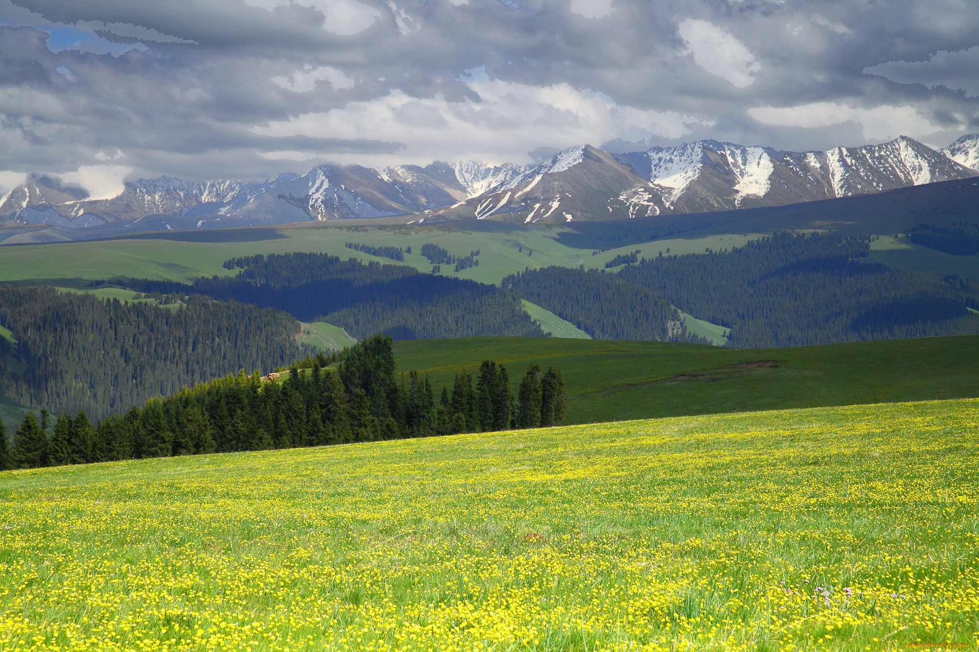 природа, поля, поле, горы, лес