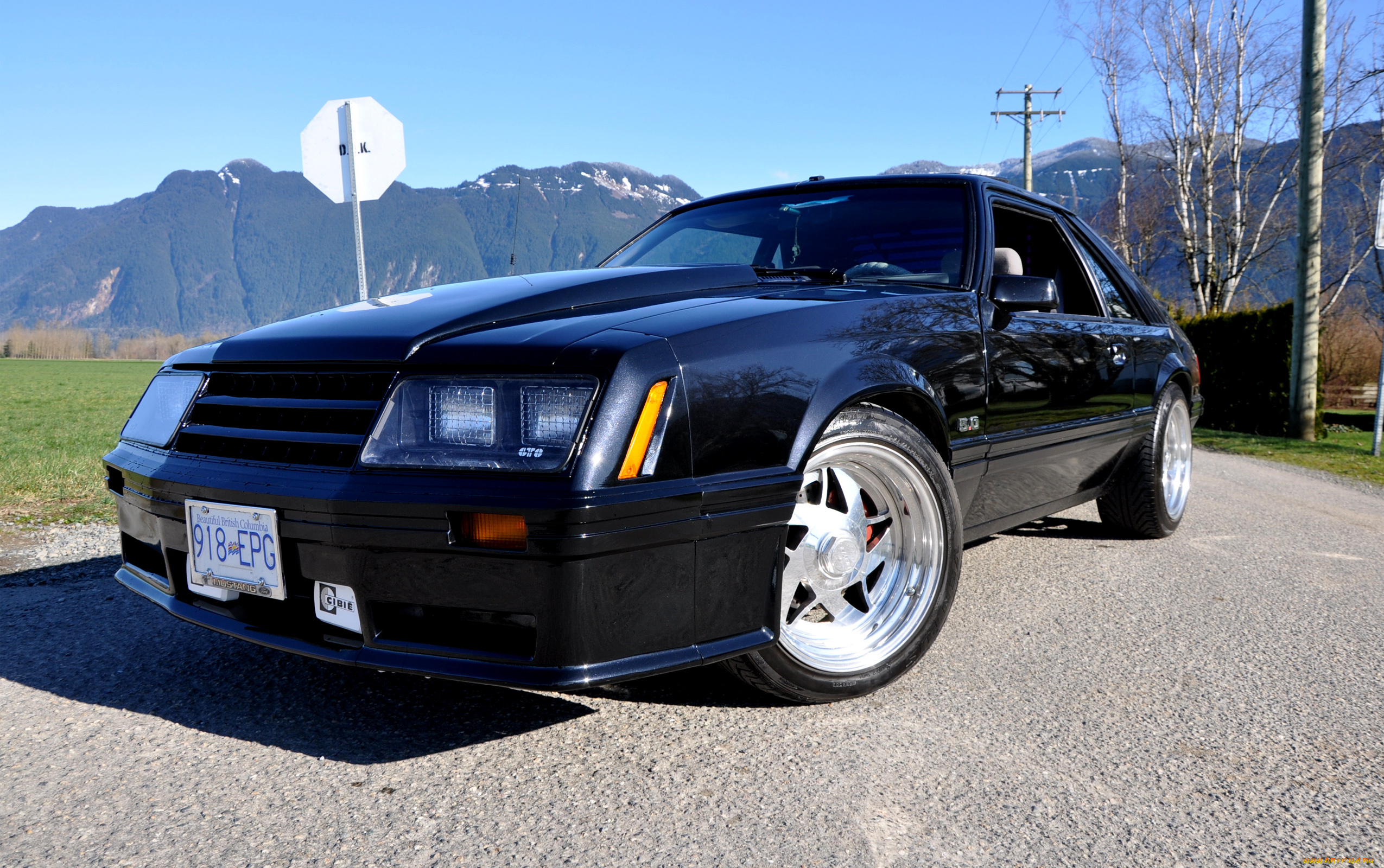 автомобили, mustang