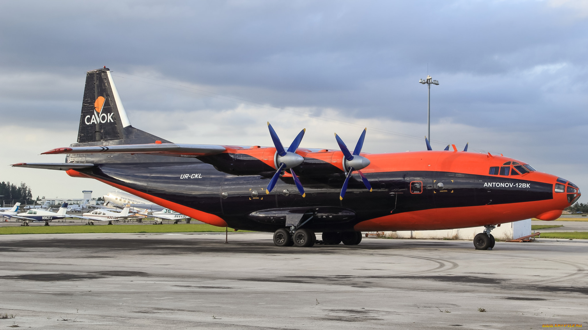 an-12bk, авиация, грузовые, самолёты, транспорт