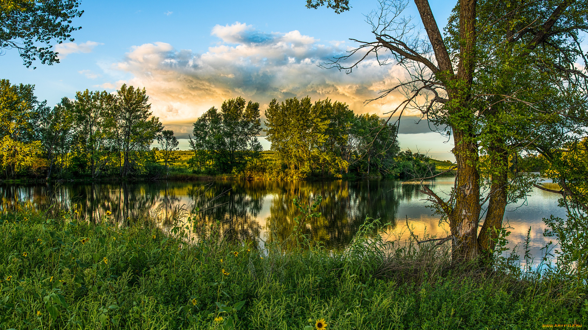 природа, реки, озера, река, лес