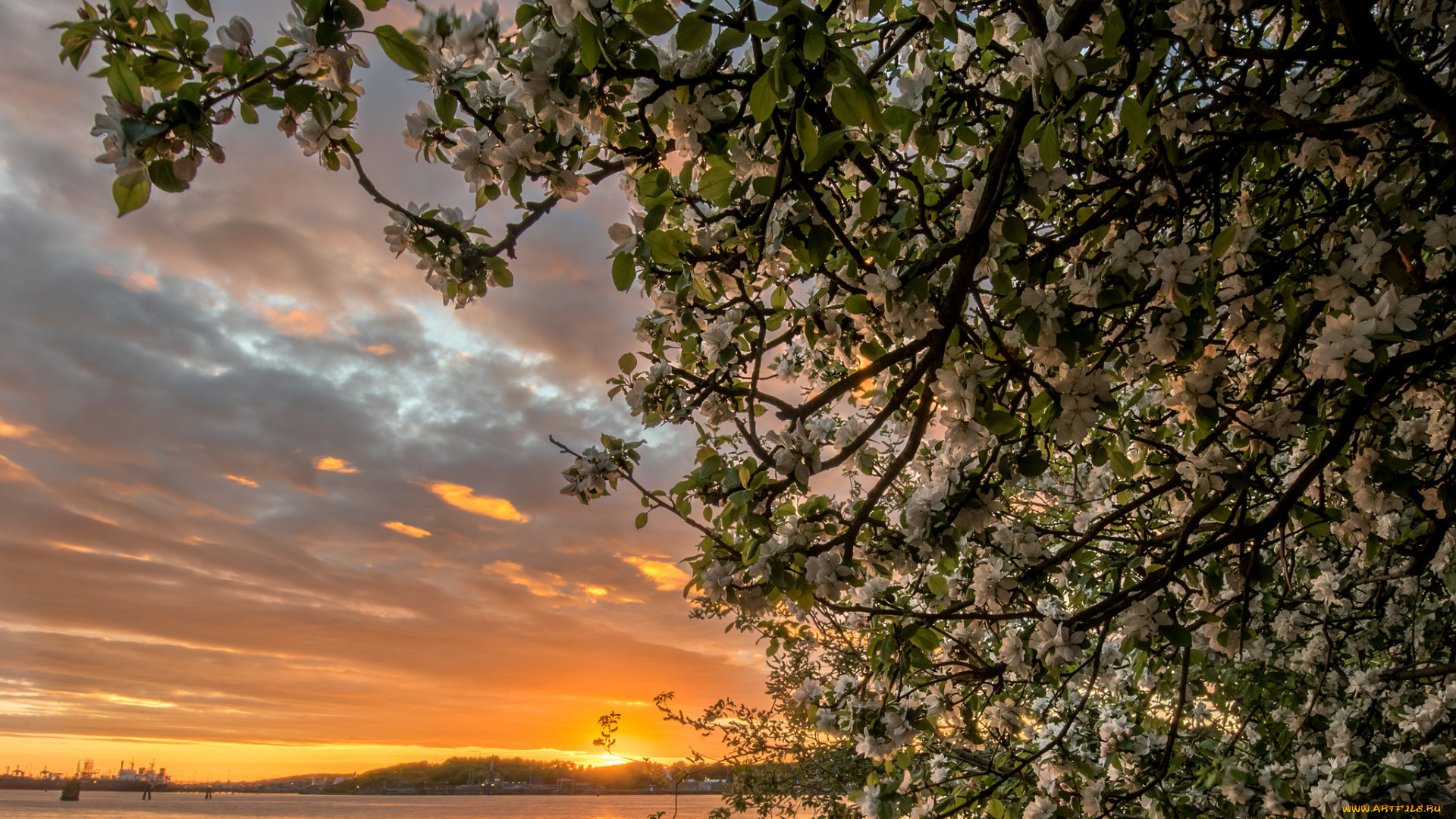 природа, восходы, закаты, рассвет