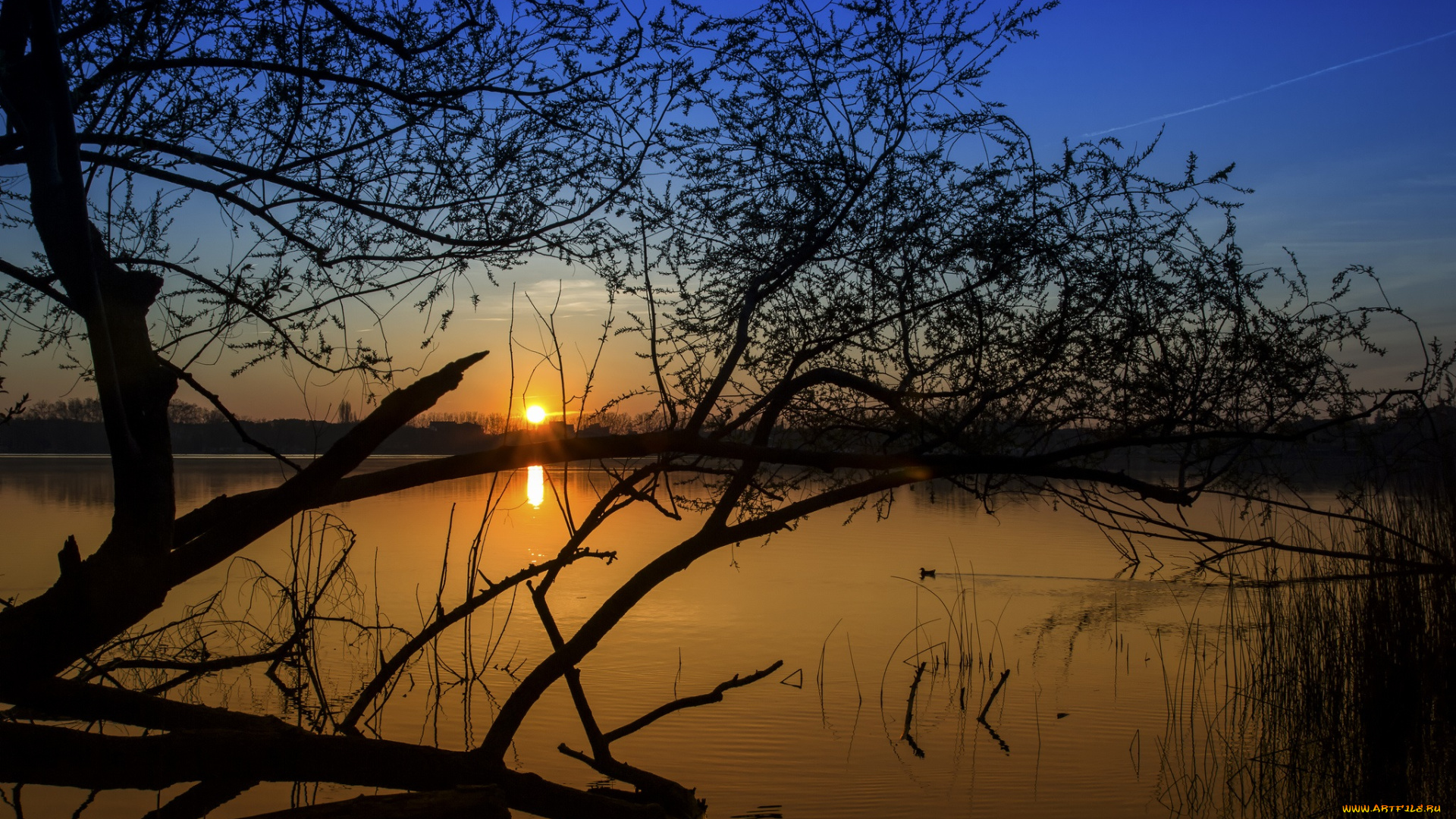 природа, восходы, закаты, рассвет