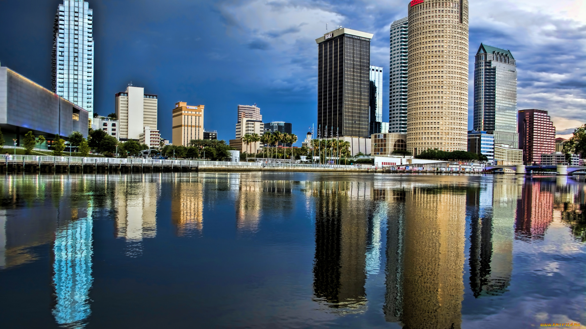tampa, , florida, , u, города, -, панорамы, высотки