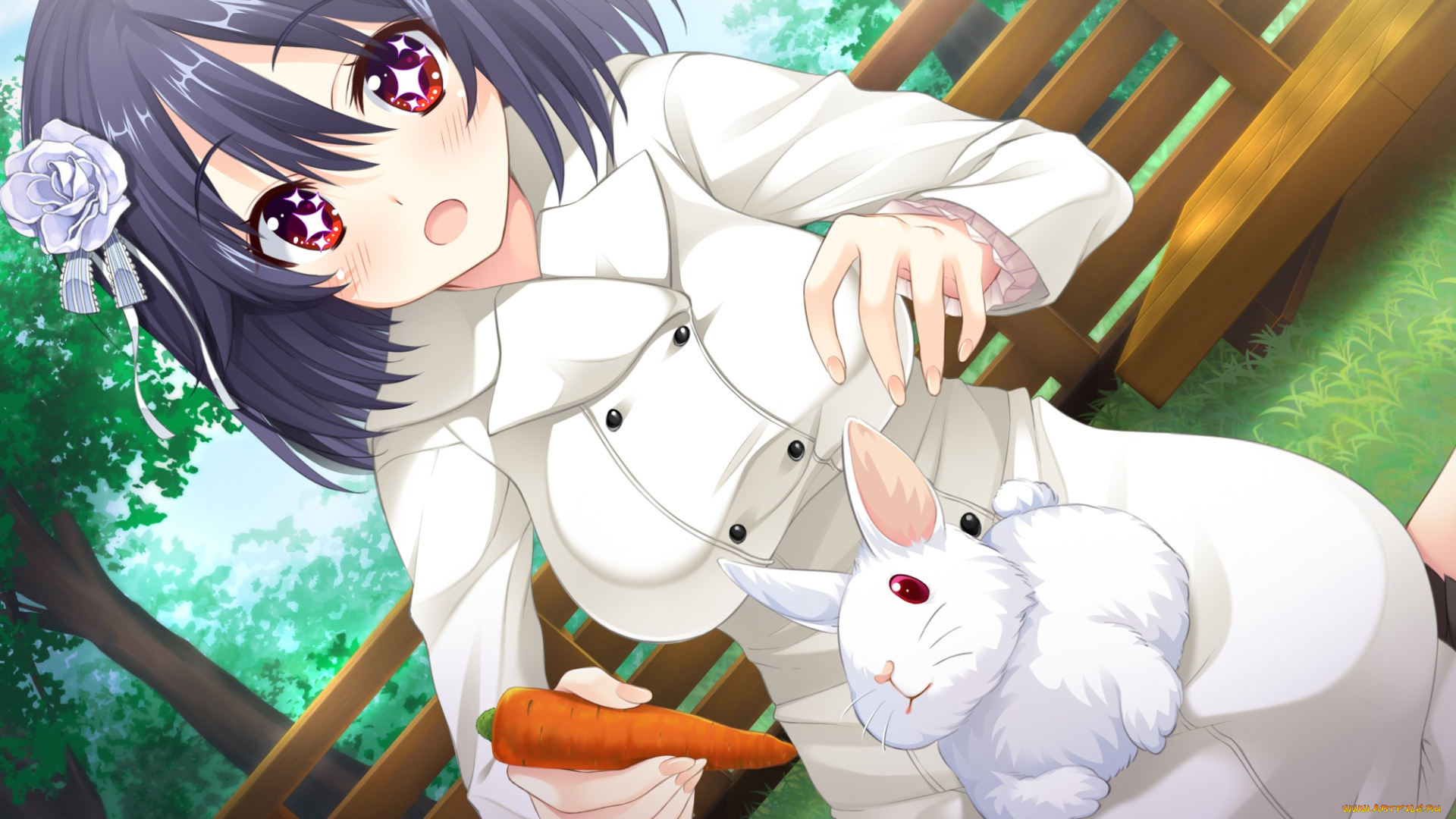 tarareba, аниме, животные, , существа, девушка, взгляд, фон, кролик