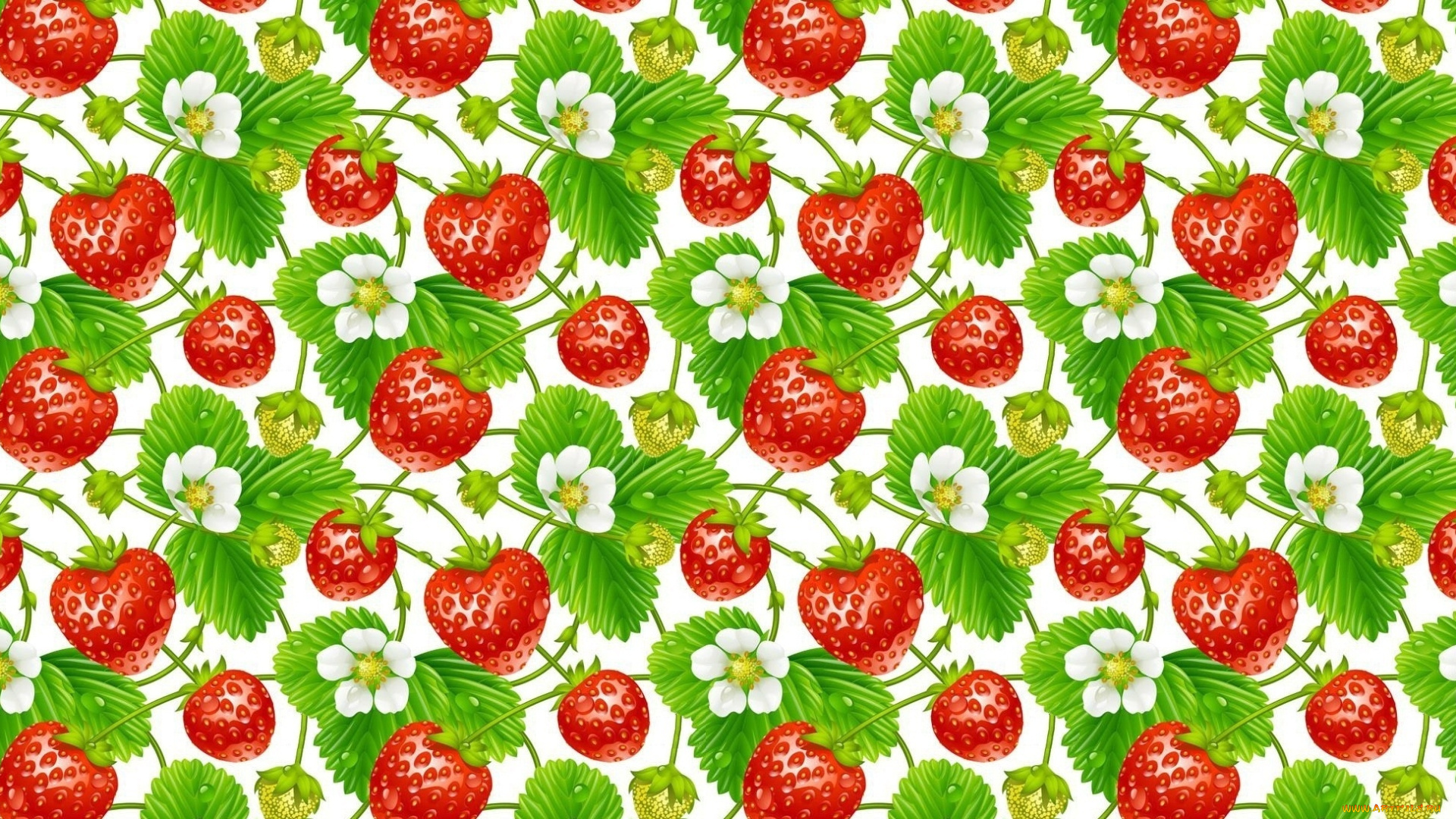 векторная, графика, еда, , food, клубника, цветы, фон