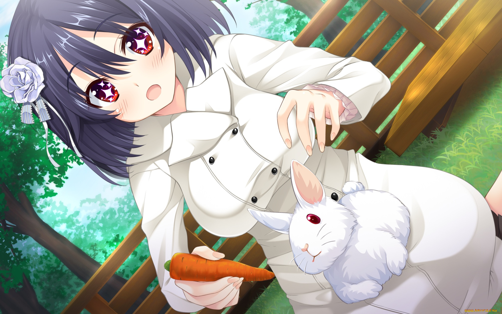 tarareba, аниме, животные, , существа, девушка, взгляд, фон, кролик