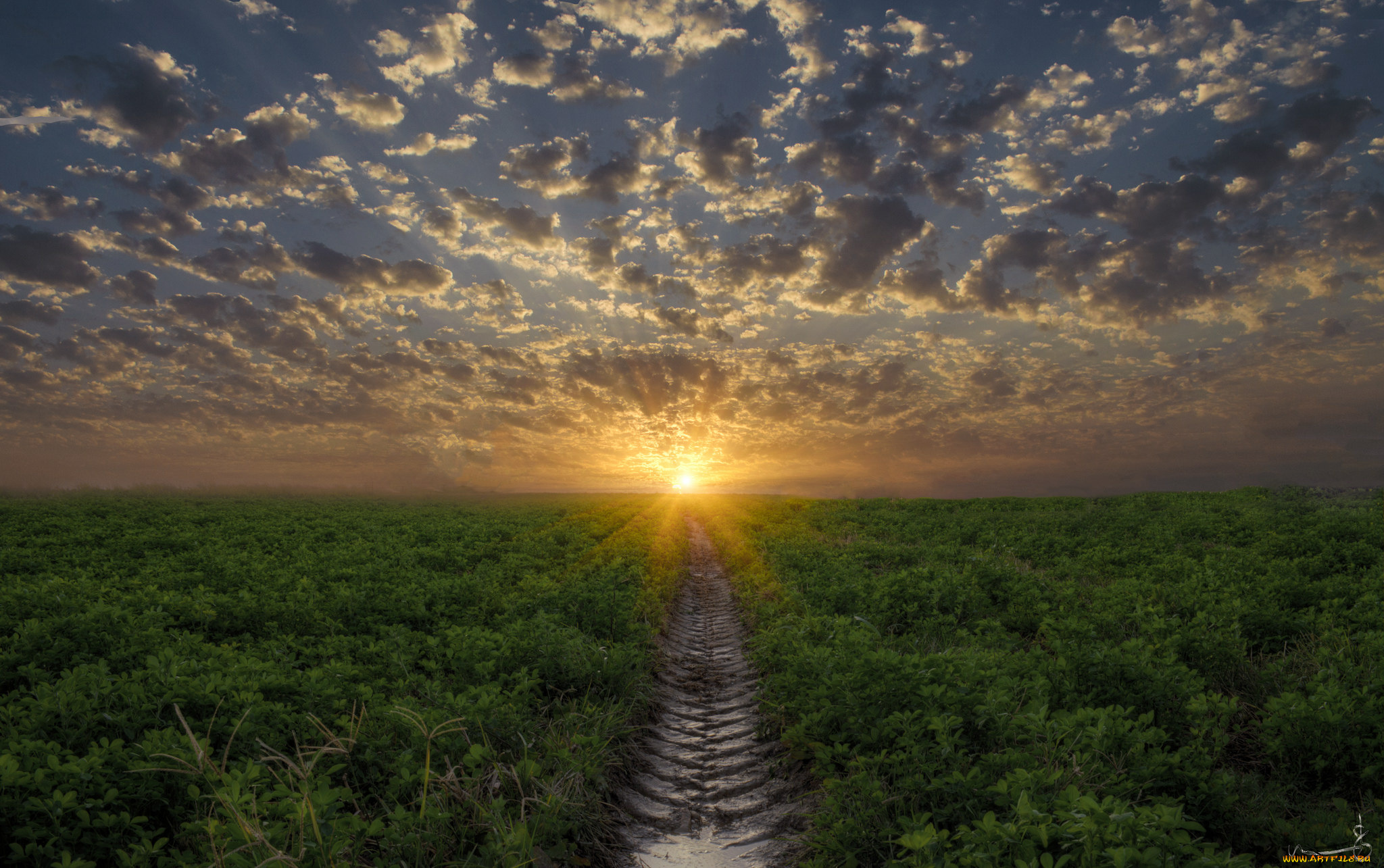 природа, восходы, закаты, рассвет