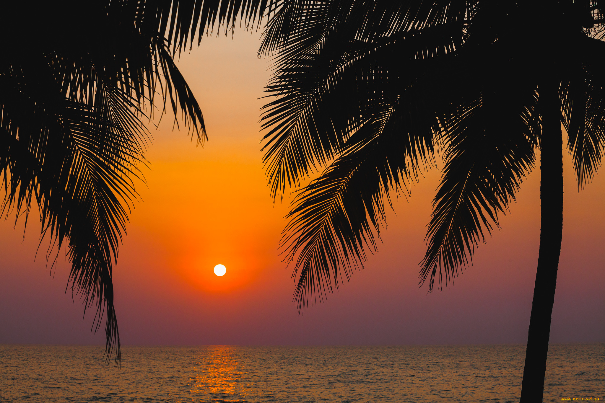 природа, восходы, закаты, рассвет