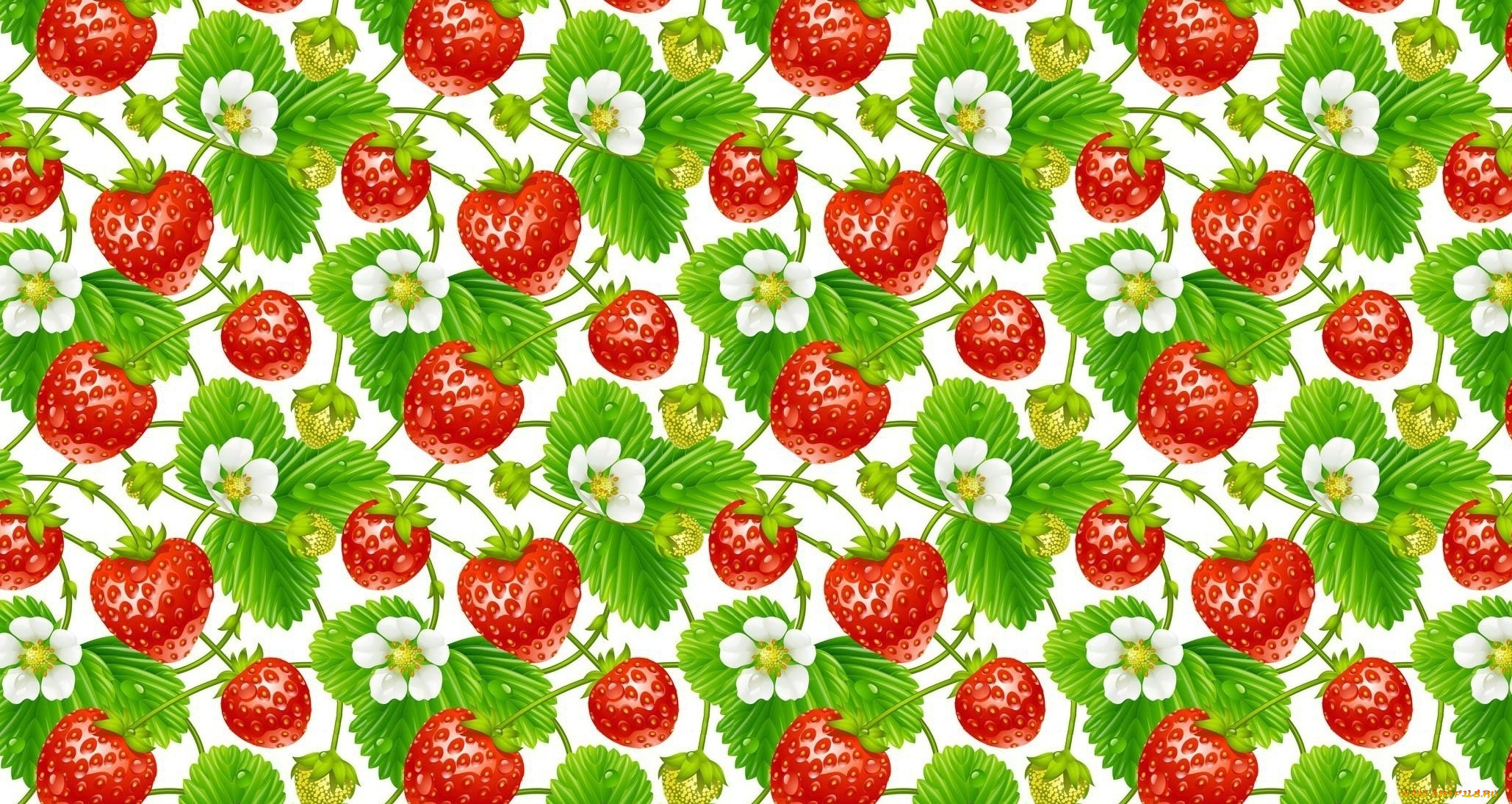 векторная, графика, еда, , food, клубника, цветы, фон
