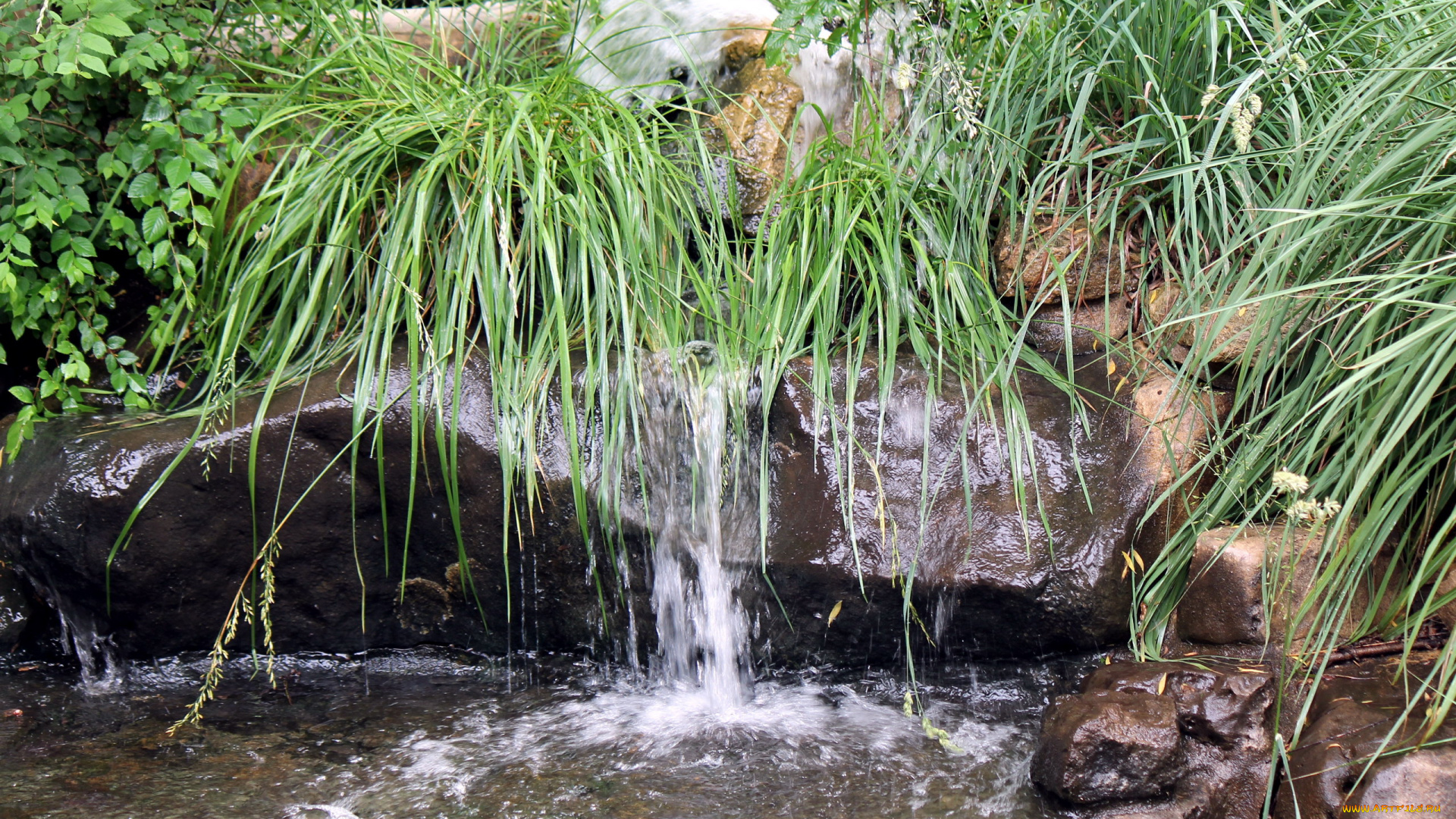 природа, парк, водопад, трава, вода, камни