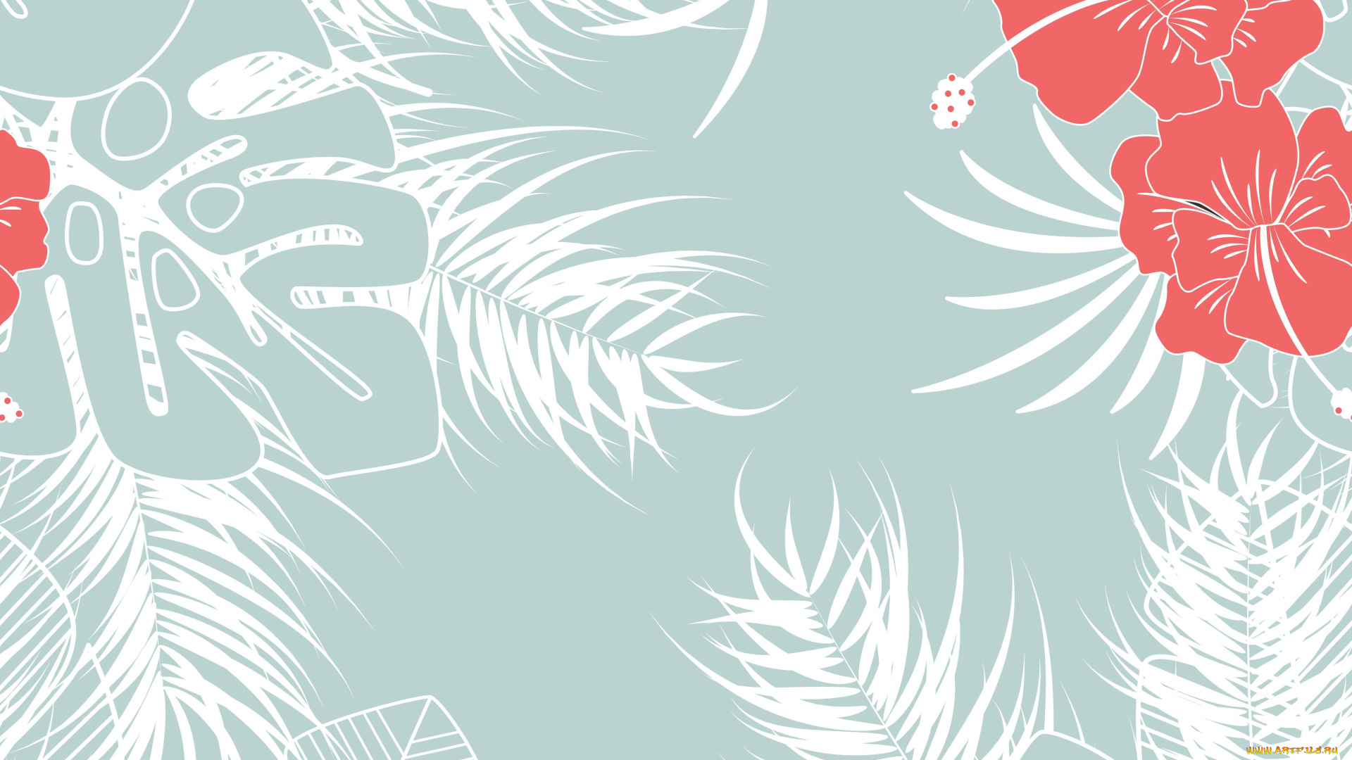 векторная, графика, цветы, , flowers, гибискус, цветы, текстура, листья