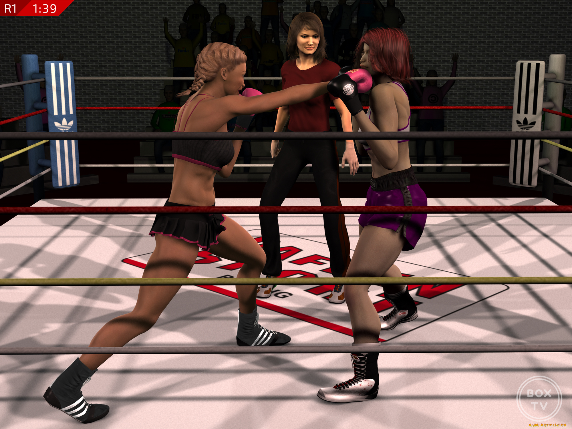 3д, графика, спорт, , sport, девушки, взгляд, бокс, ринг, фон