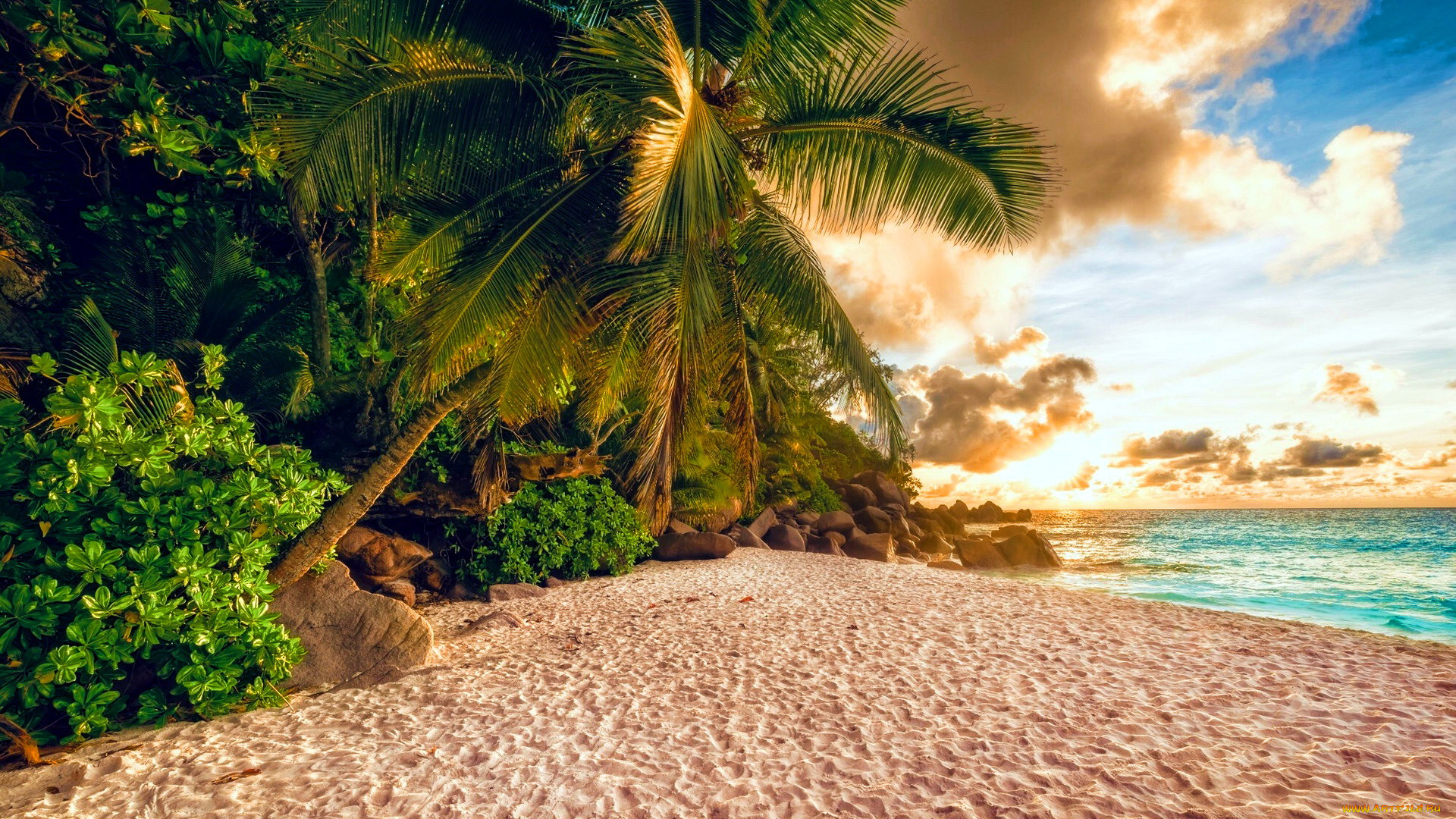 природа, тропики, пляж, море, пальмы, облака