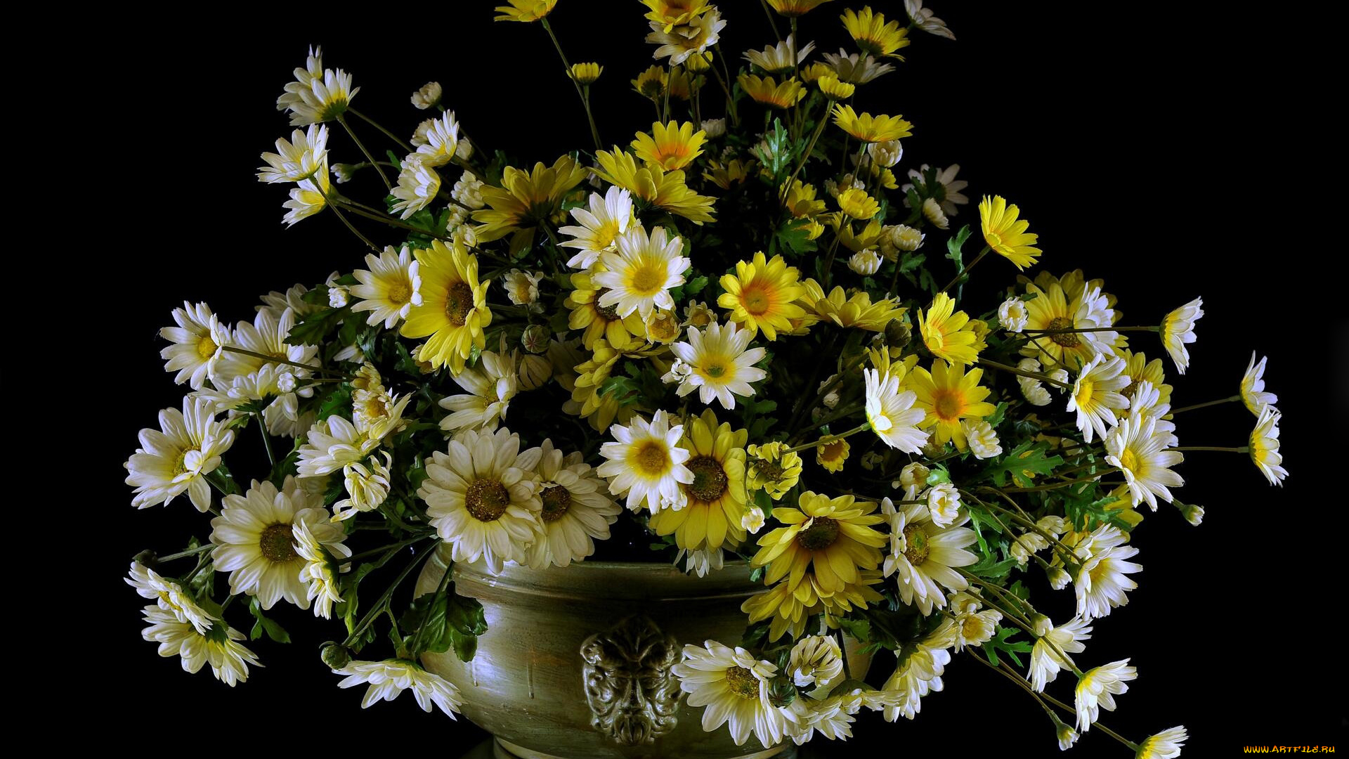 цветы, маргаритки, ваза, букет