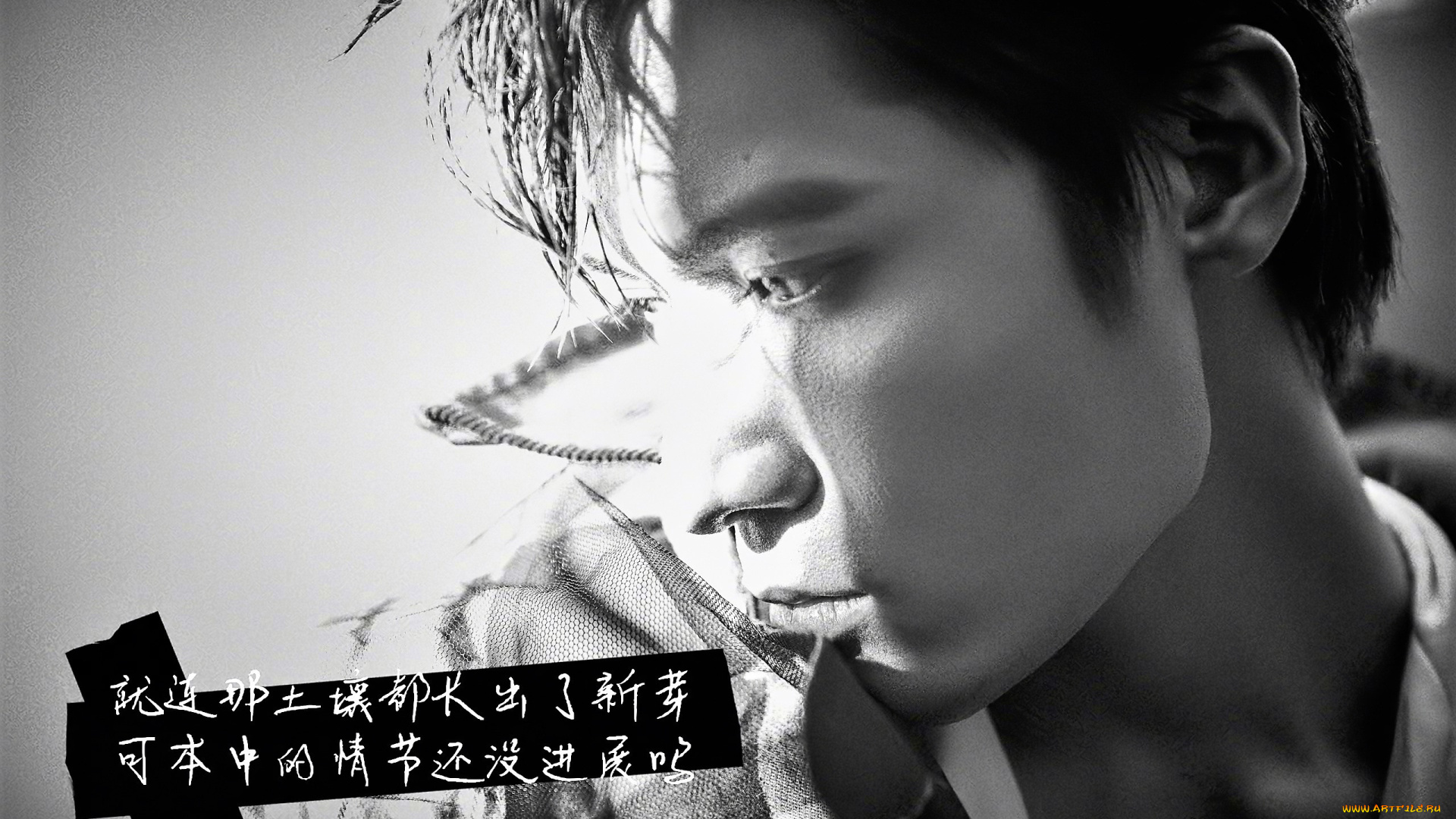 мужчины, liu, haikuan, актер, лицо