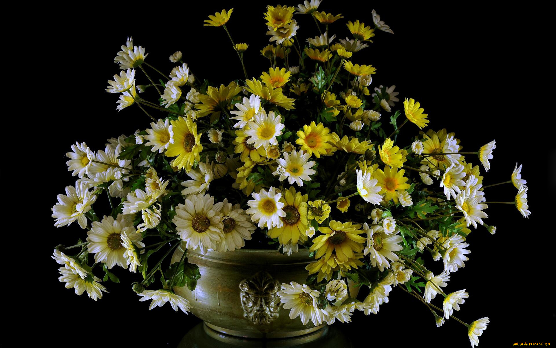 цветы, маргаритки, ваза, букет