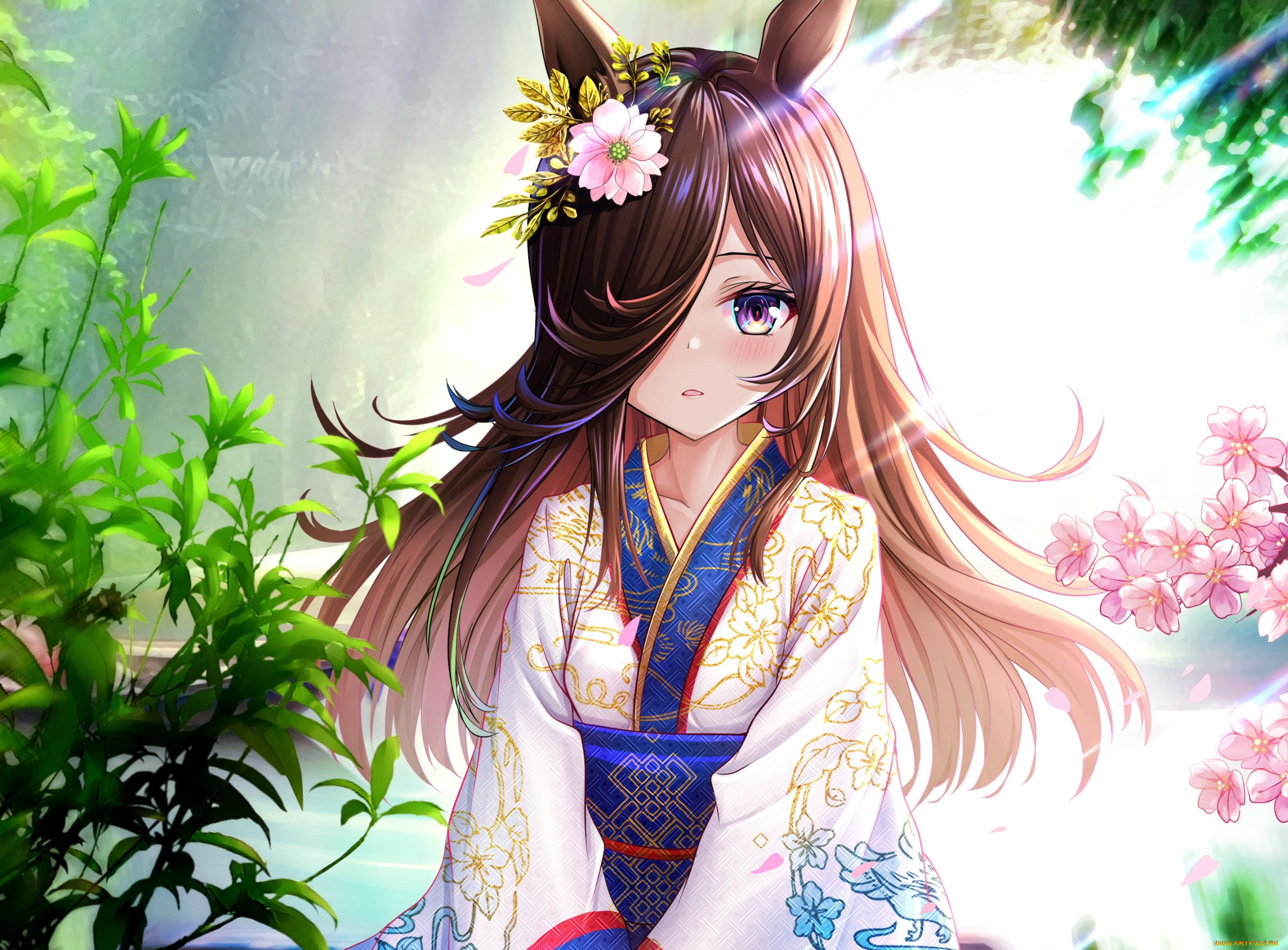 аниме, uma, musume, , pretty, derby, uma, musume, pretty, derby