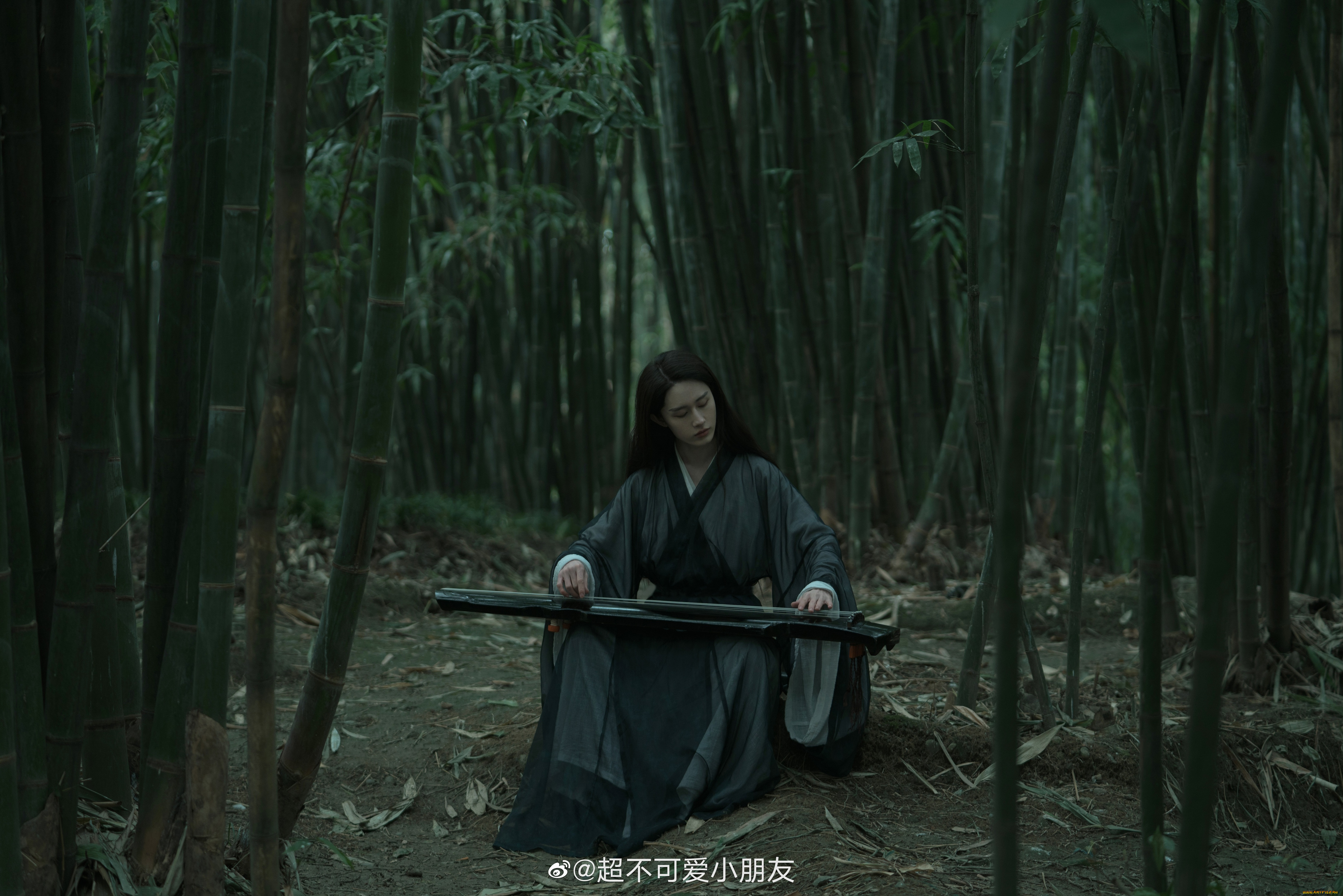 мужчины, tang, shihao, tang, shihao, тан, шиао