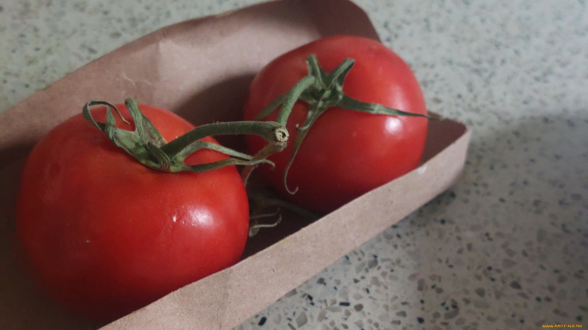 еда, помидоры, коробка, дуэт