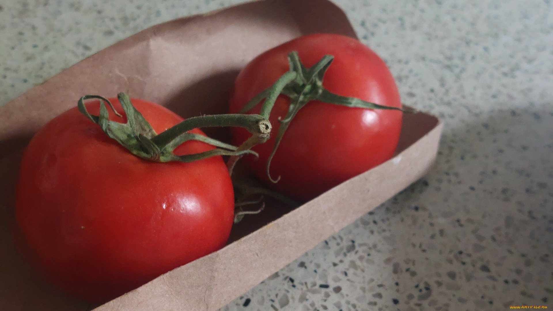 еда, помидоры, коробка, дуэт