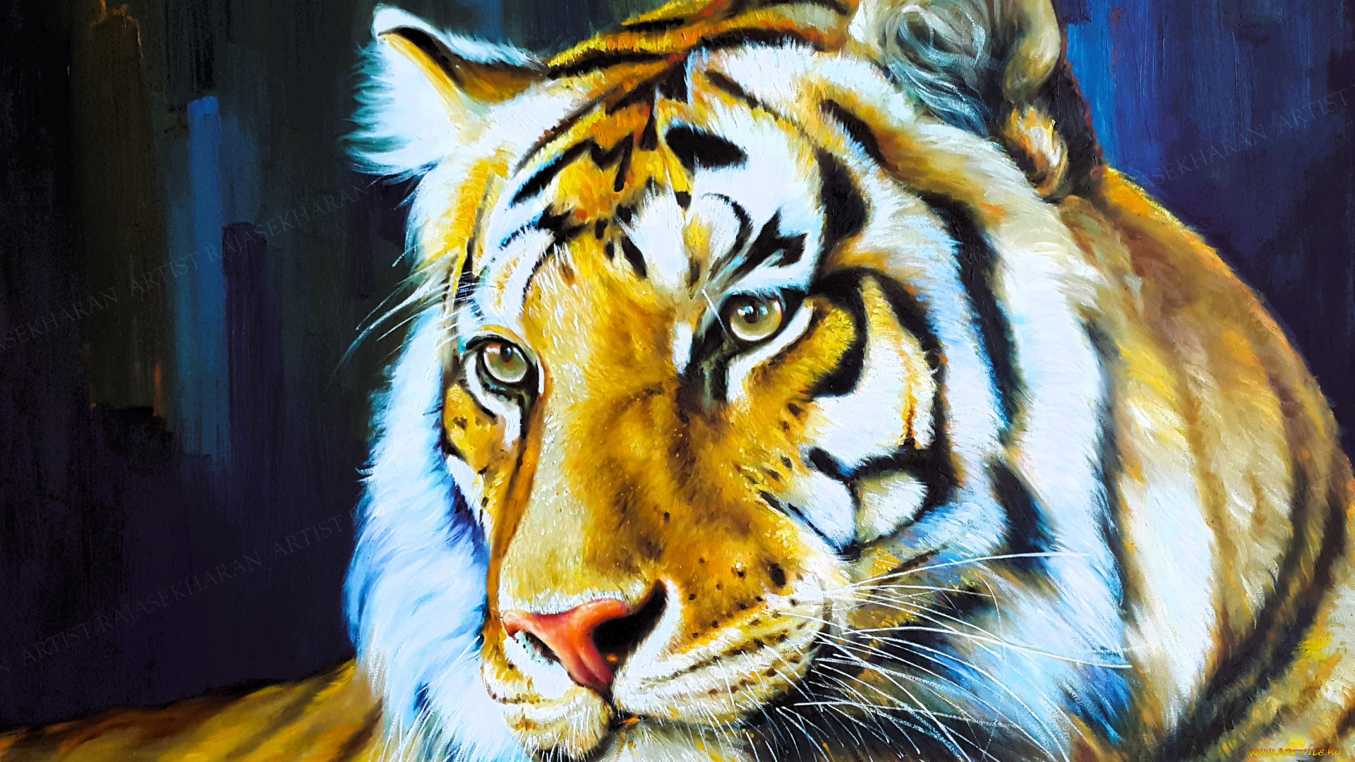 рисованное, животные, , тигры, тигр, голова