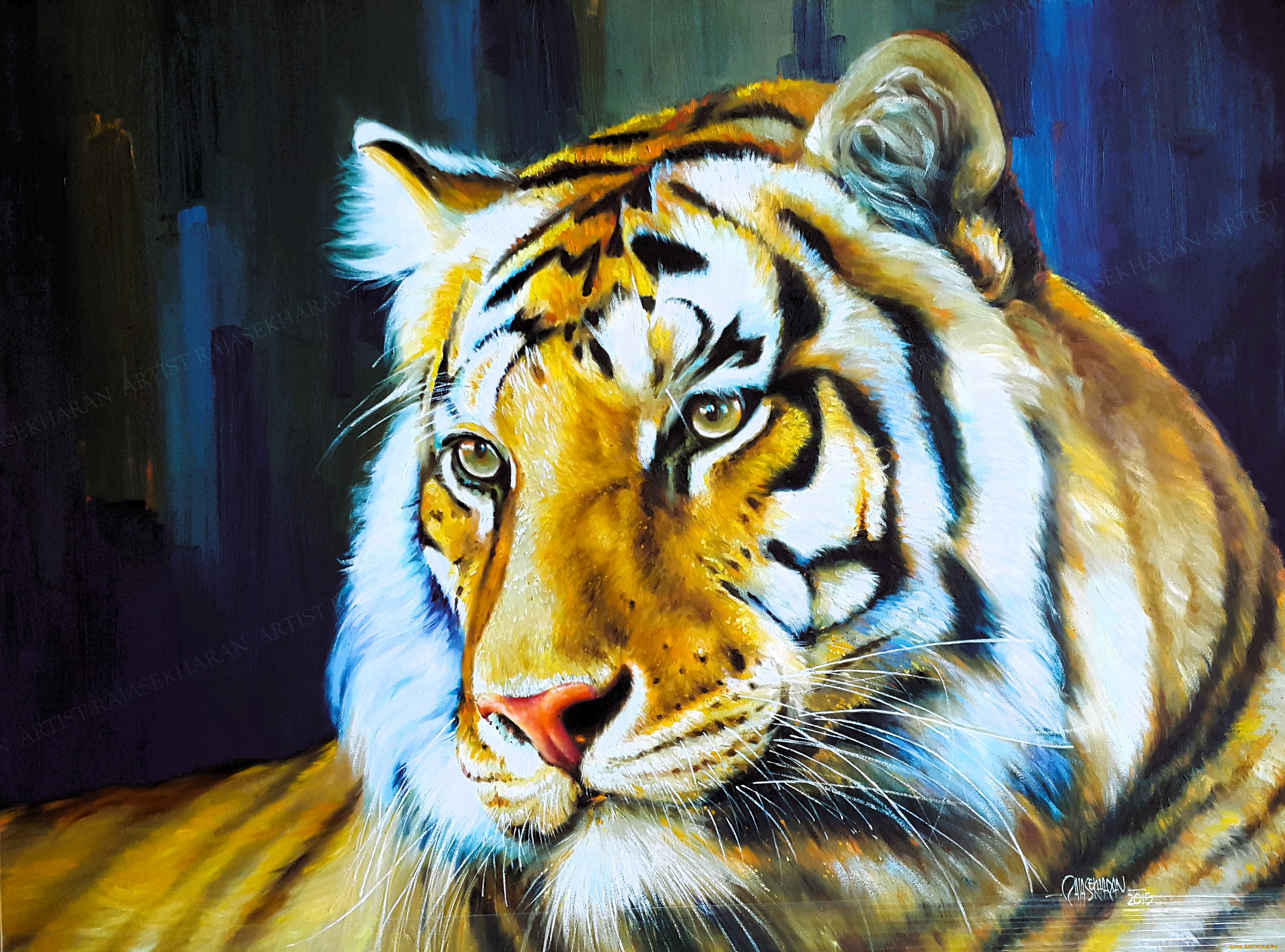 рисованное, животные, , тигры, тигр, голова