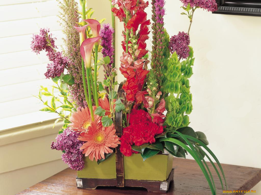 цветы, букеты, композиции