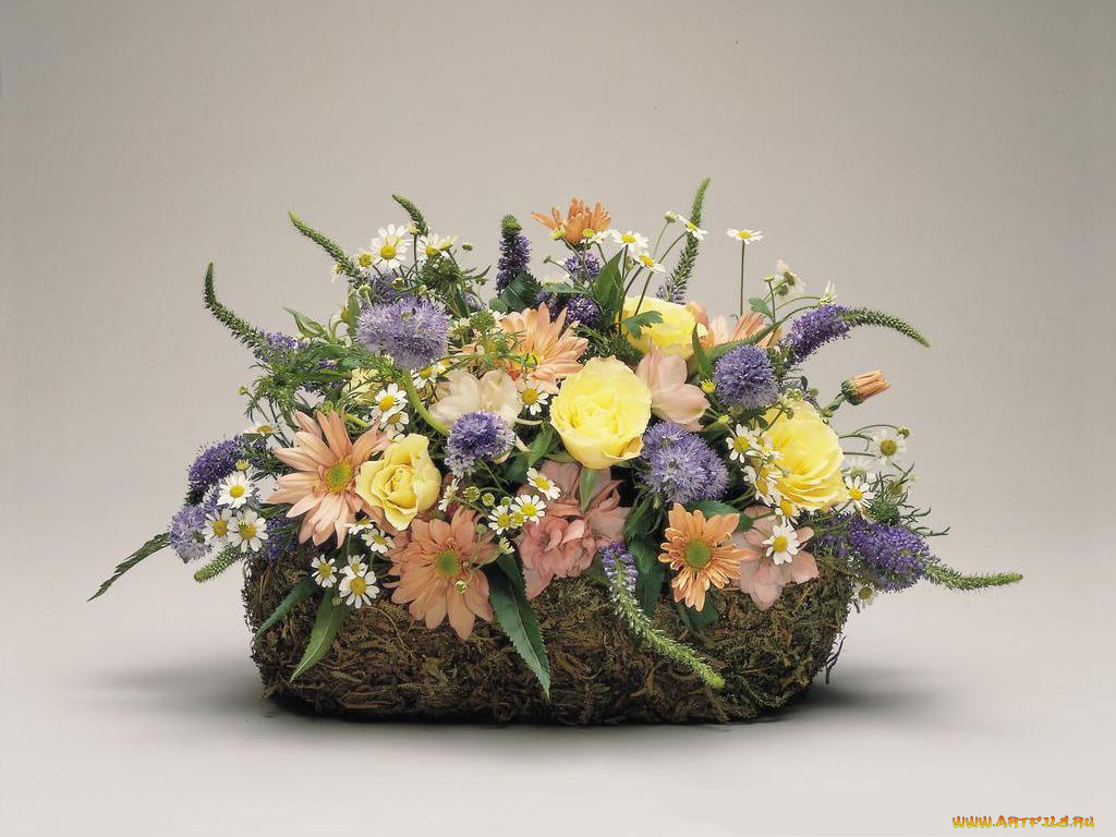цветы, букеты, композиции