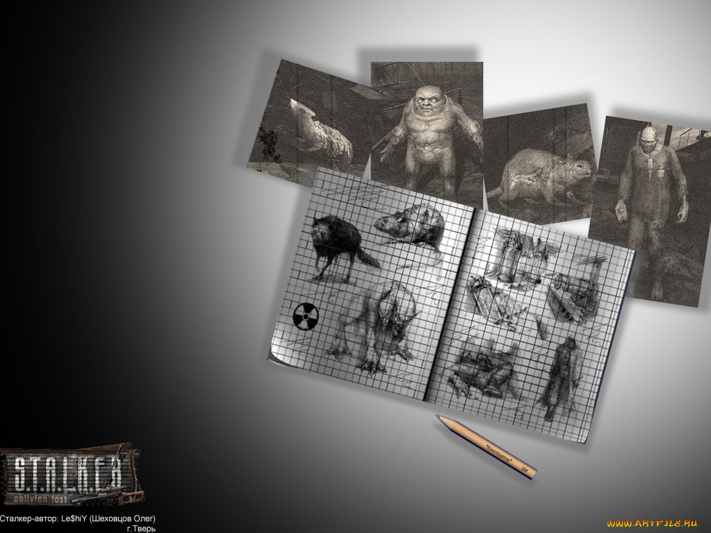 видео, игры, shadow, of, chernobyl