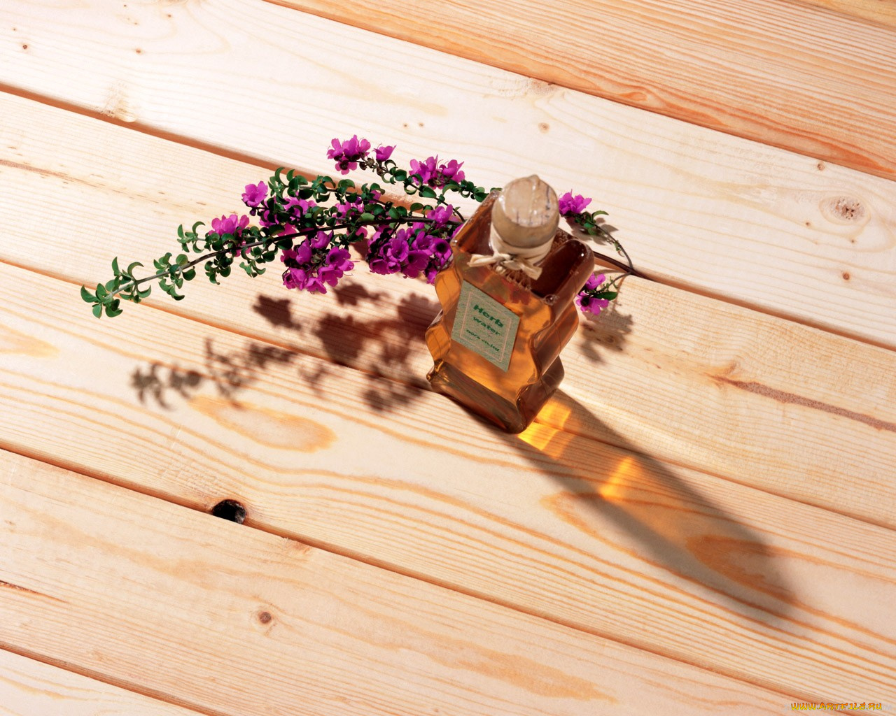 цветы, цветущие, деревья, кустарники