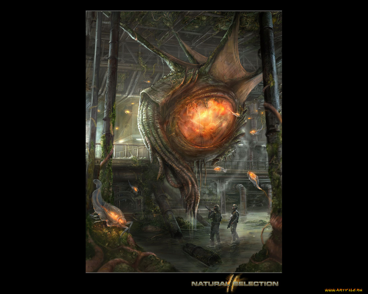 видео, игры, natural, selection