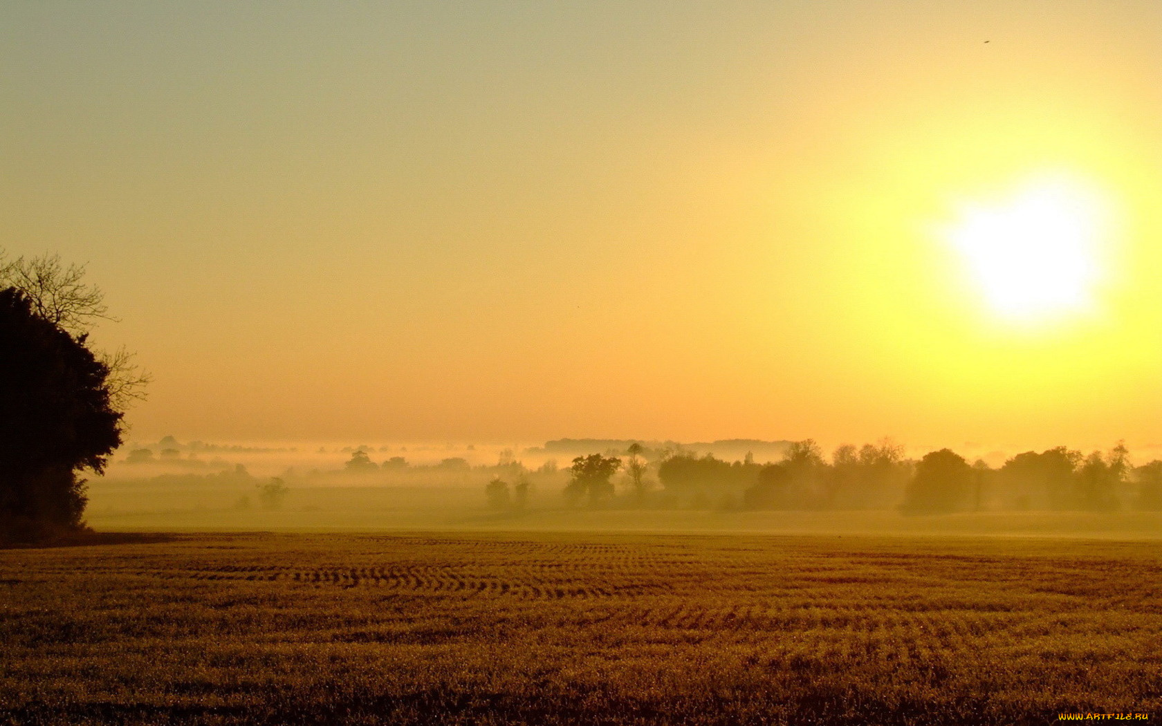 природа, поля