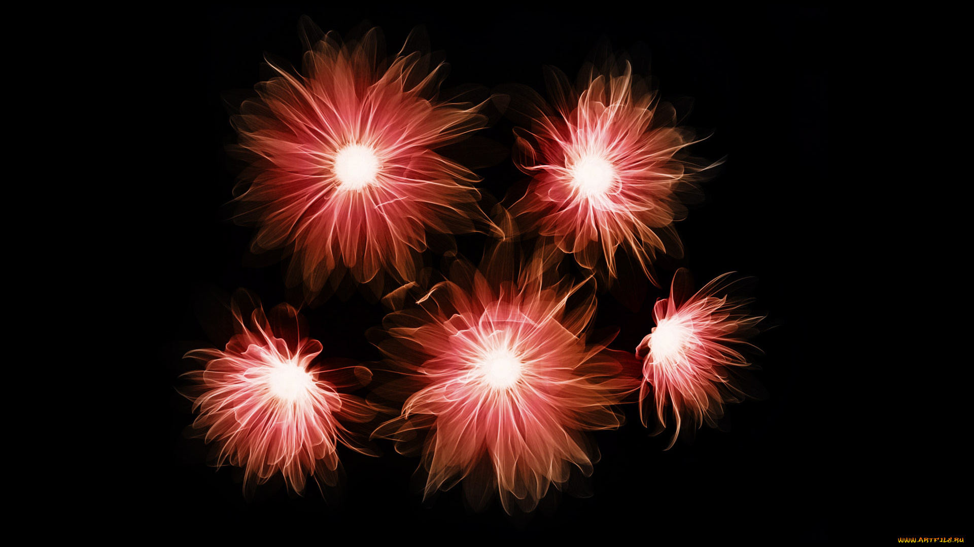 3д, графика, flowers, цветы