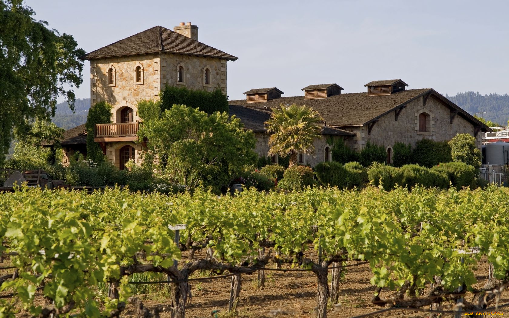 города, здания, дома, виноградник