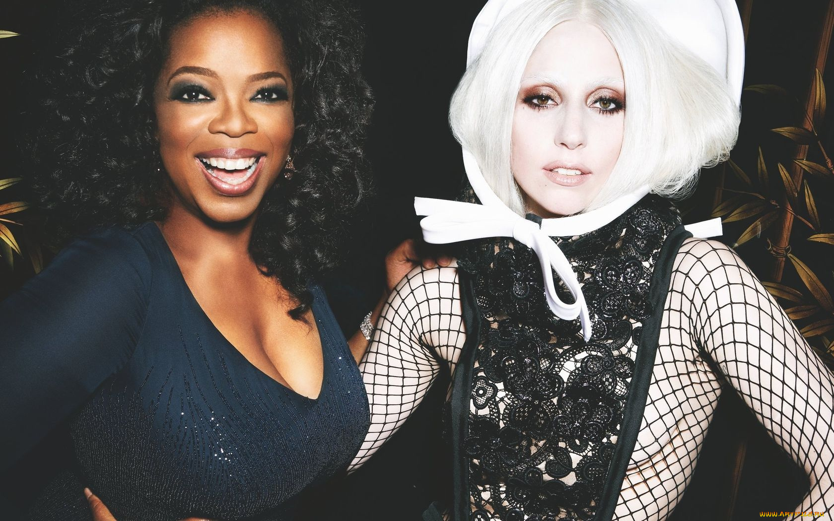 музыка, lady, gaga, oprah