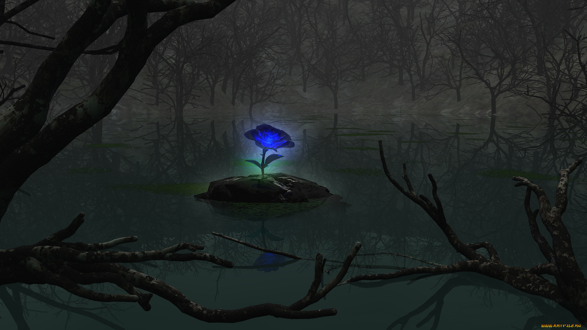 3д, графика, flowers, цветы