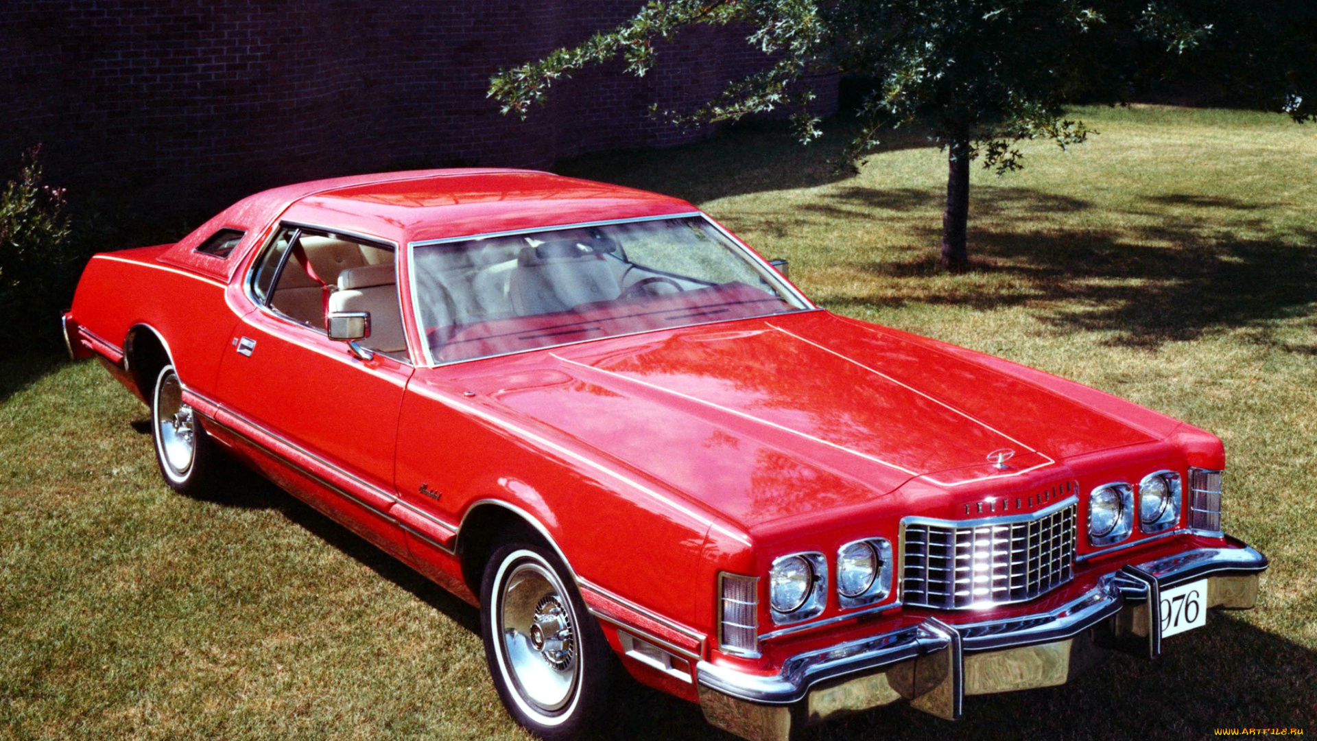 ford, thunderbird, автомобили